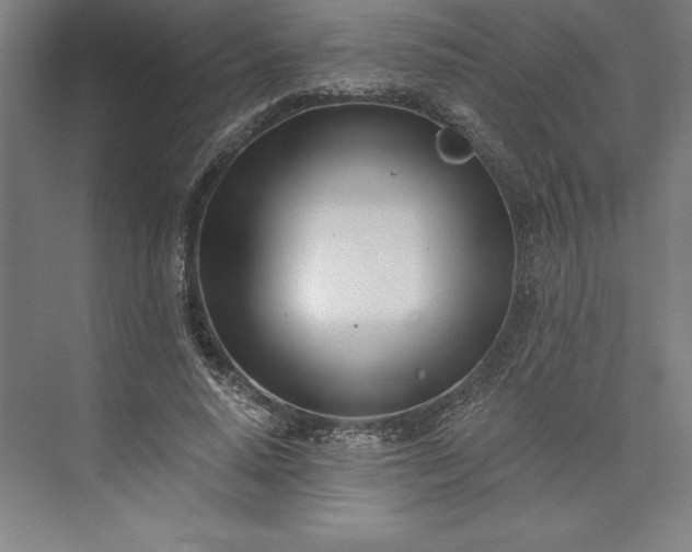 X0000073460640200608111511