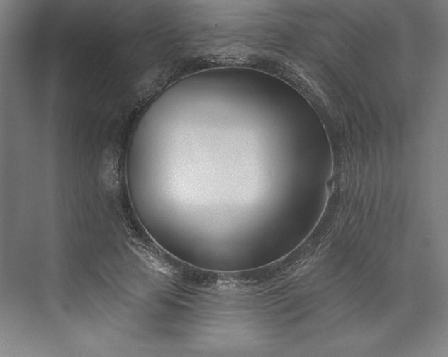 X0000073460641200608111511