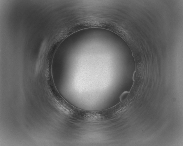 X0000073460642200608111511