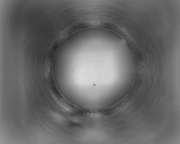 X0000073460645200608111511