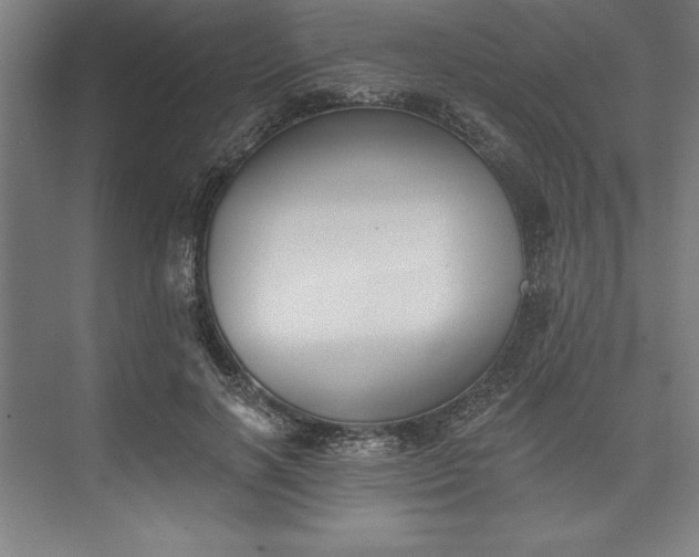 X0000073460646200608111511