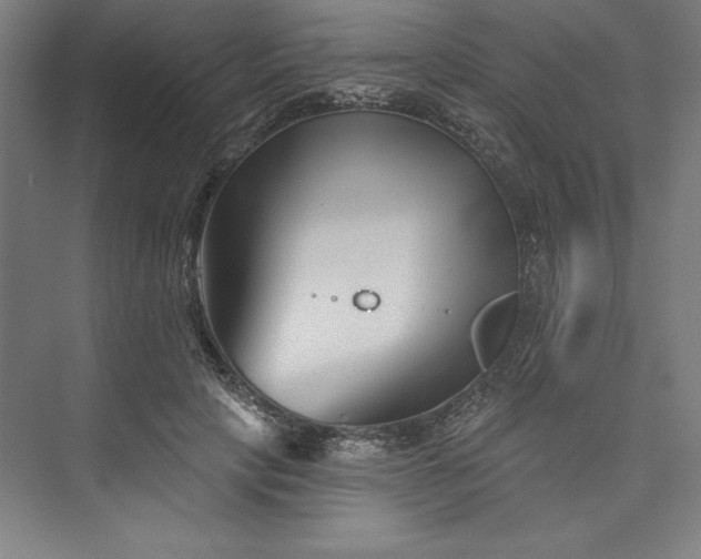 X0000073460649200608111511