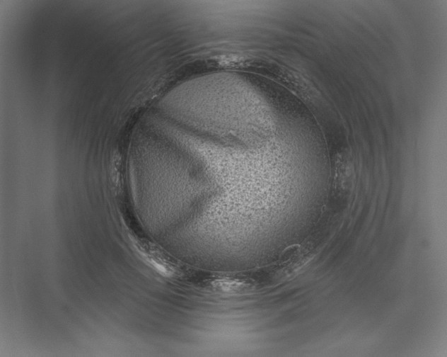 X0000073460650200608111511