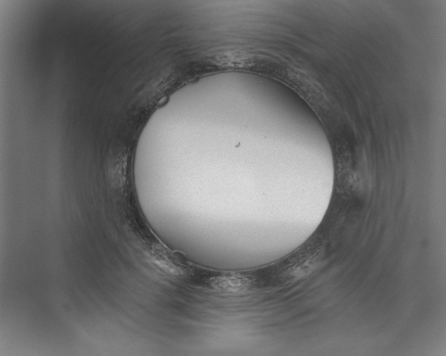 X0000073460652200608111511