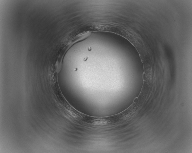 X0000073460653200608111511