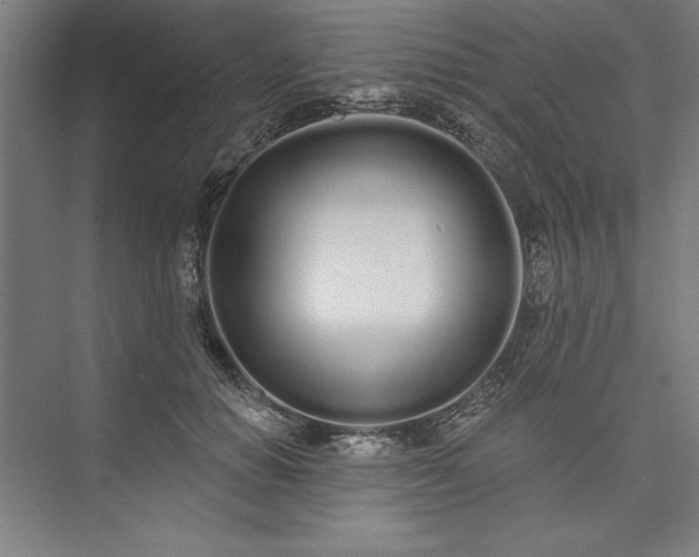 X0000073460654200608111511