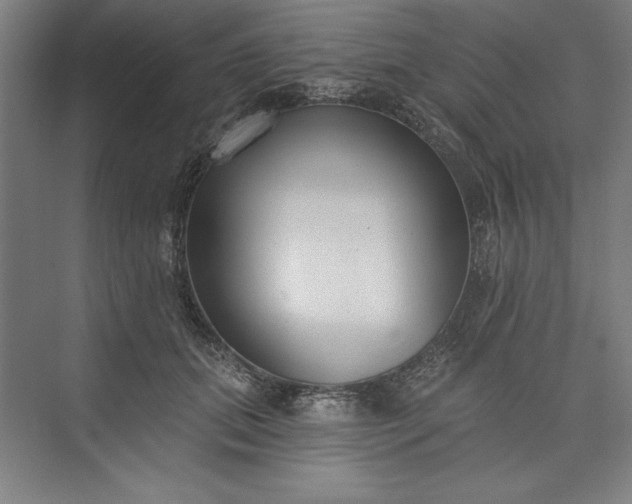 X0000073460655200608111511