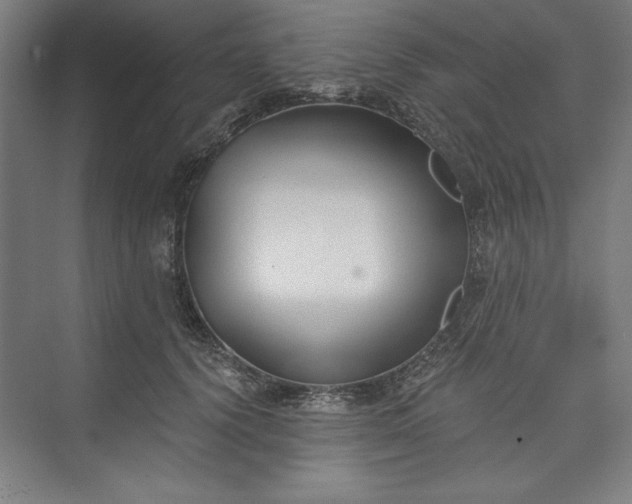 X0000073460656200608111511