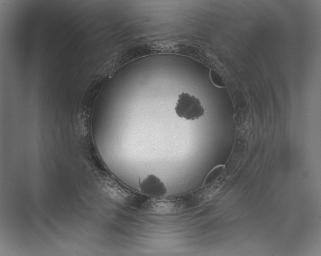 X0000073460658200608111511