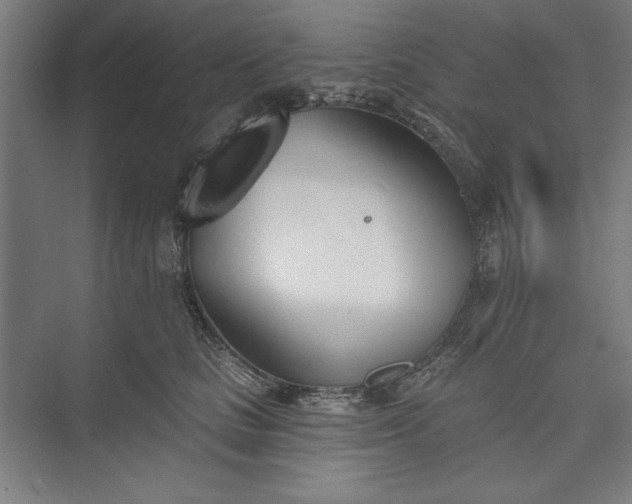 X0000073460661200608111511