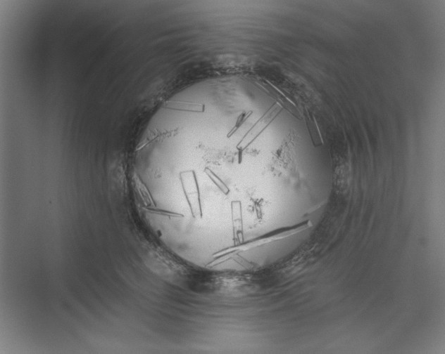 X0000073460662200608111511