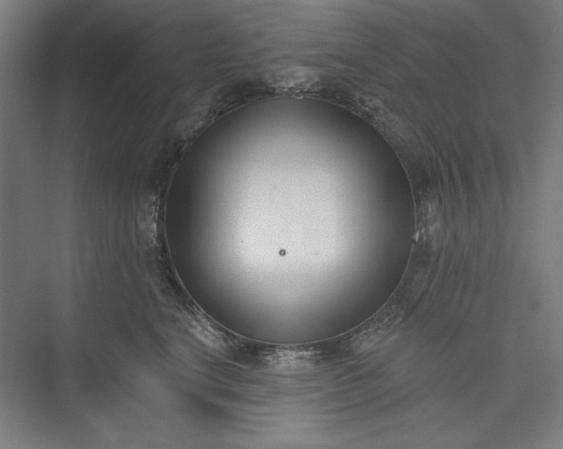 X0000073460664200608111511