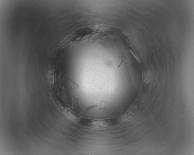 X0000073460666200608111511