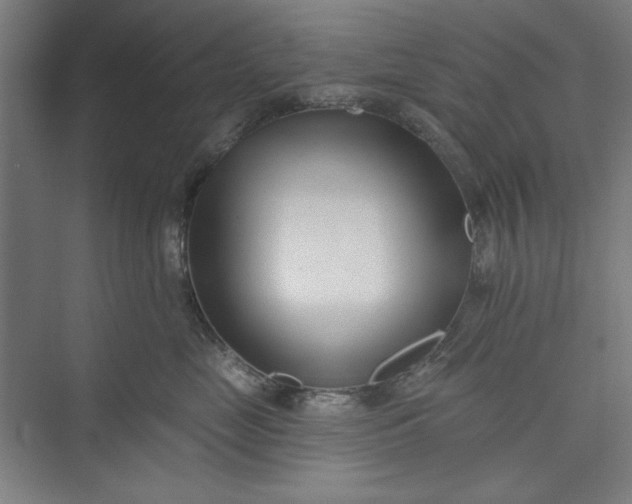 X0000073460669200608111511