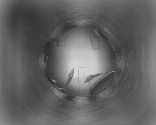 X0000073460670200608111511