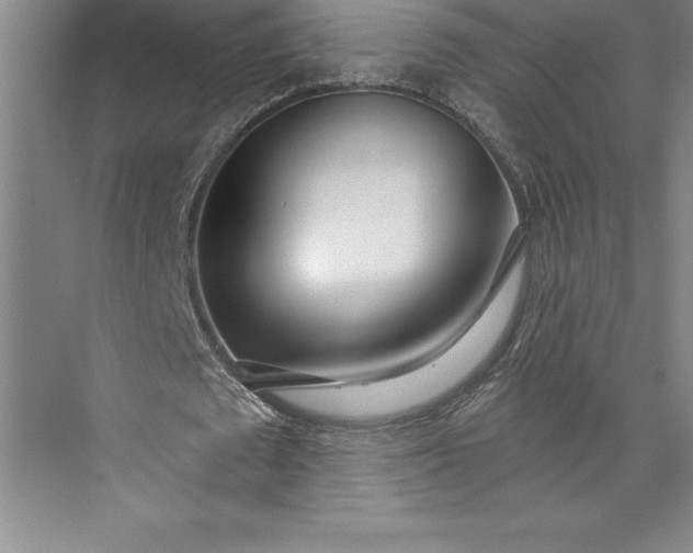 X0000073460673200608111511