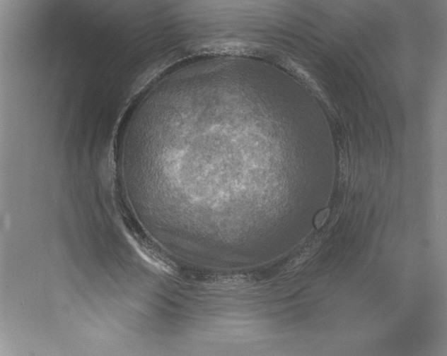 X0000073460674200608111511