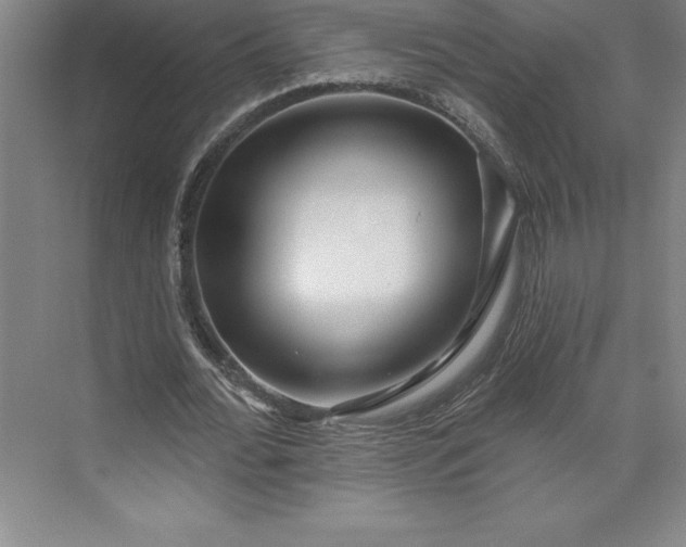 X0000073460676200608111511