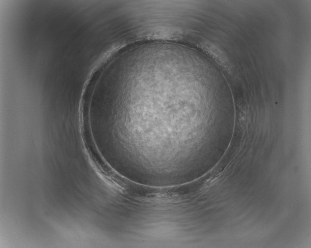 X0000073460678200608111511