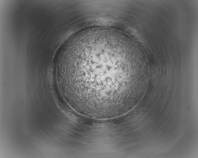 X0000073460679200608111511