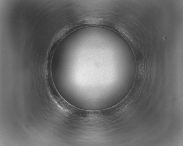 X0000073460682200608111510