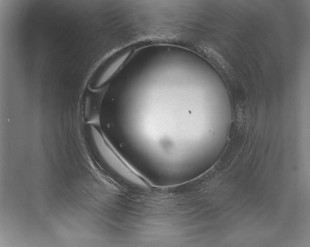 X0000073460684200608111510