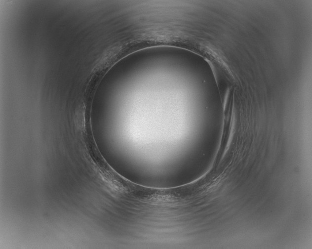 X0000073460685200608111510