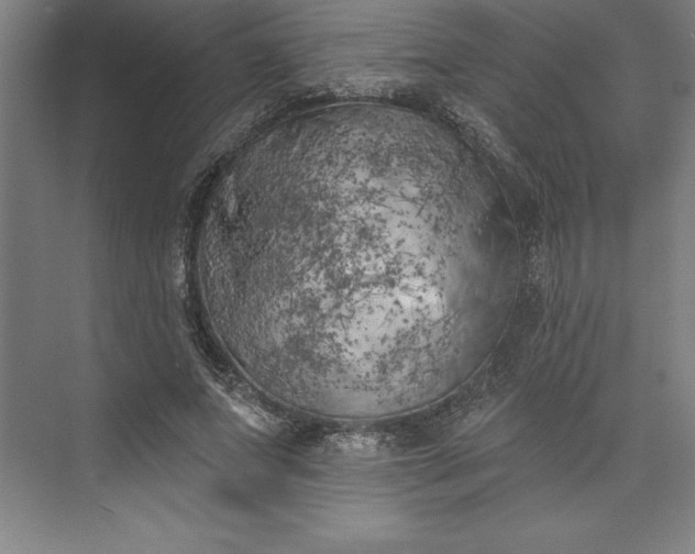 X0000073460687200608111510