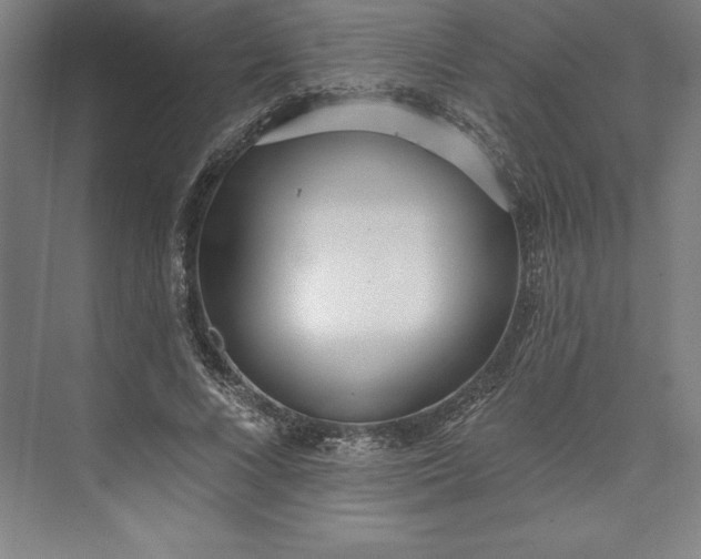 X0000073460688200608111510