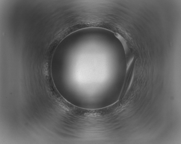 X0000073460689200608111510