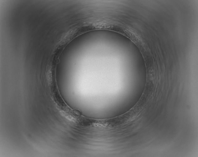 X0000073460690200608111510