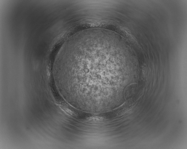 X0000073460691200608111510