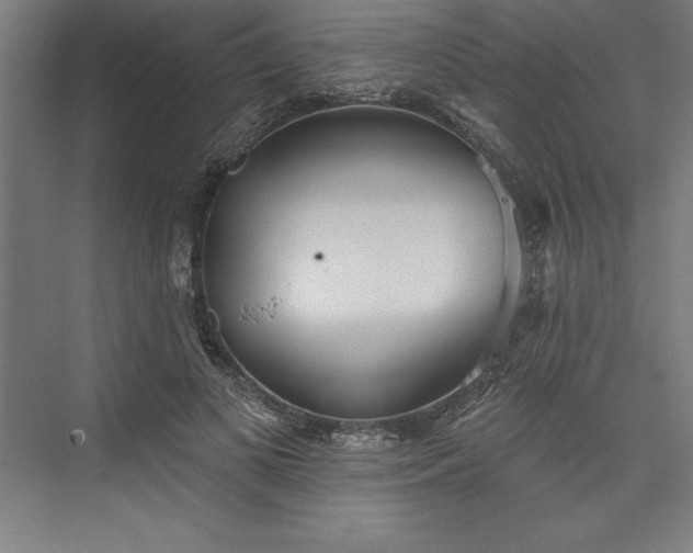 X0000073460693200608111510