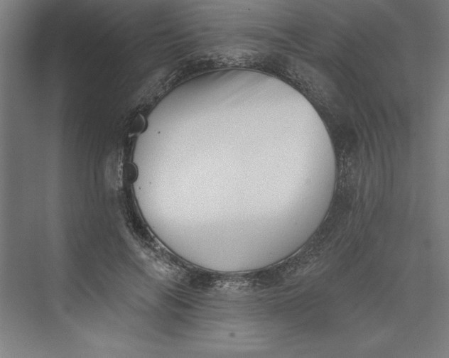 X0000073460694200608111510