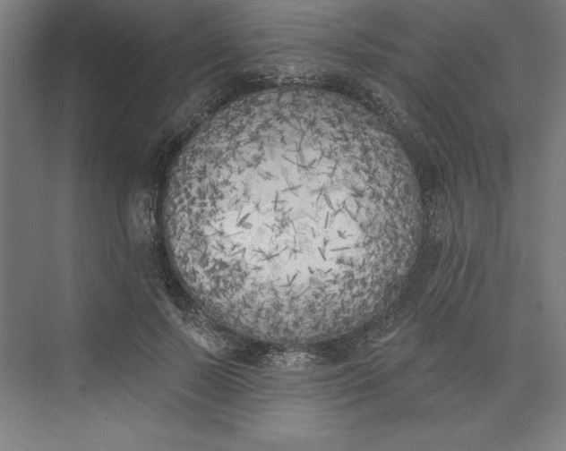 X0000073460695200608111510