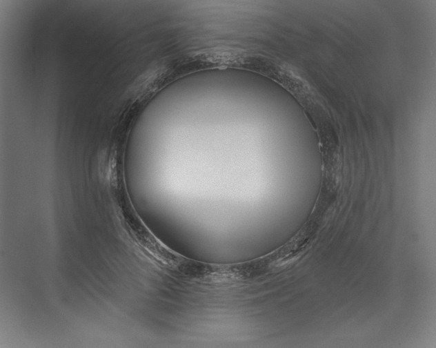 X0000073460696200608111510