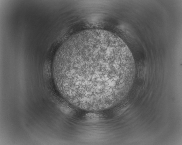 X0000073460699200608111510