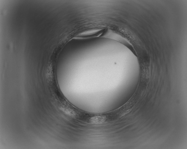 X0000073460700200608111510