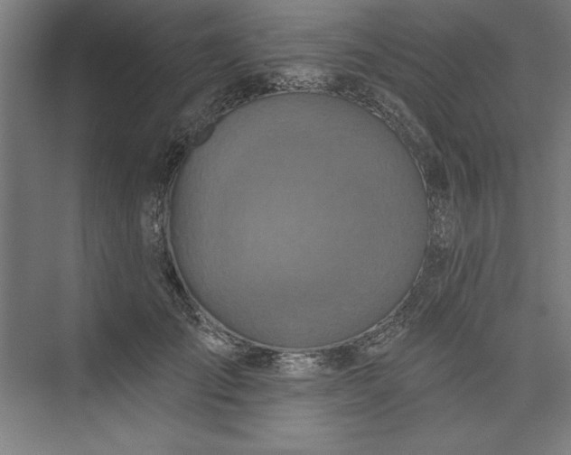 X0000073460701200608111510