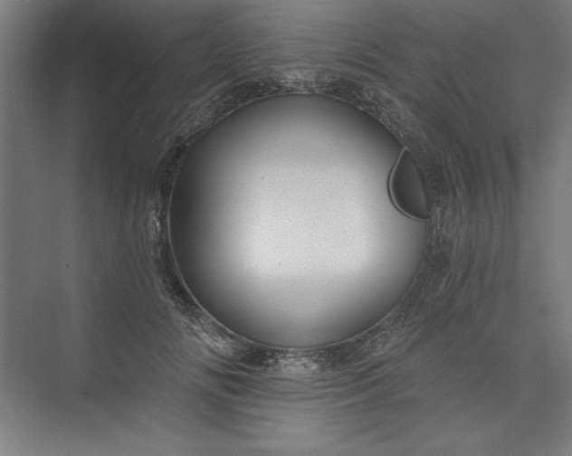 X0000073460702200608111510