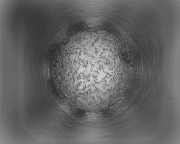 X0000073460703200608111510