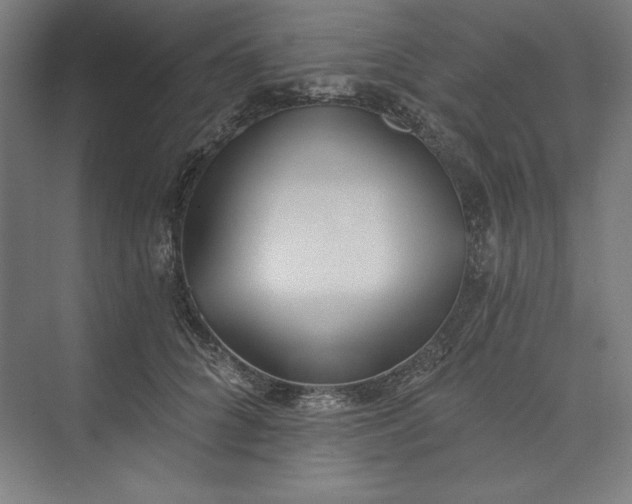 X0000073460704200608111510