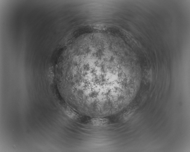 X0000073460707200608111510