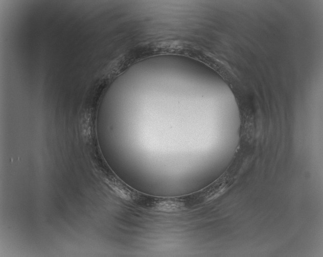 X0000073460708200608111510