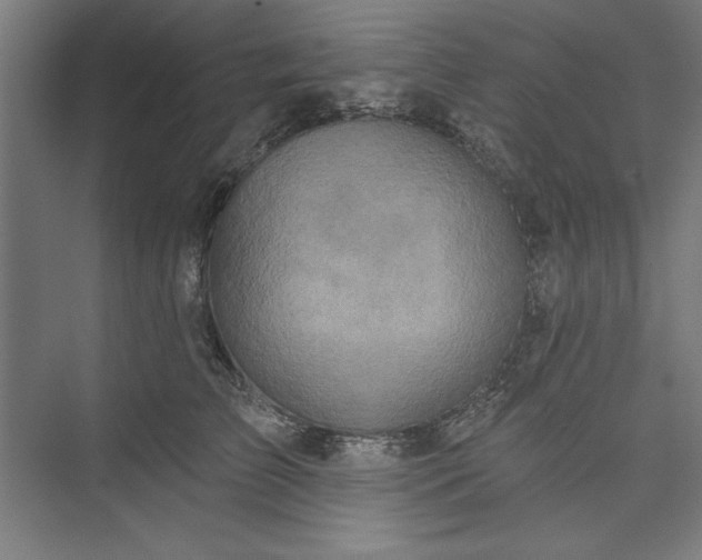 X0000073460709200608111510