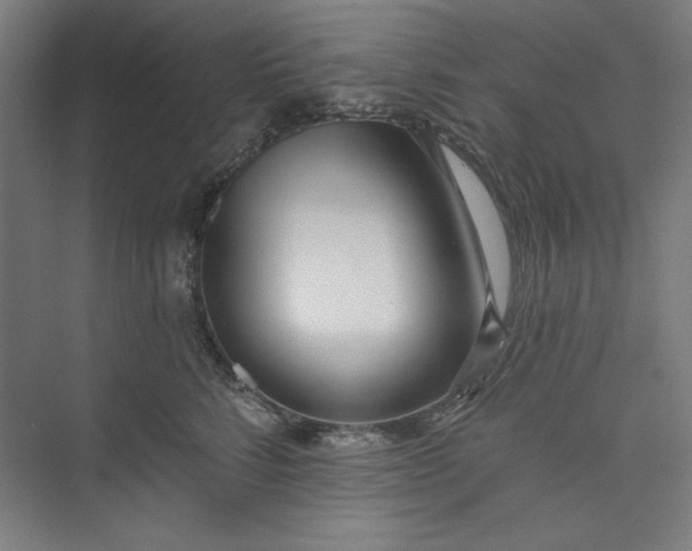 X0000073460712200608111510