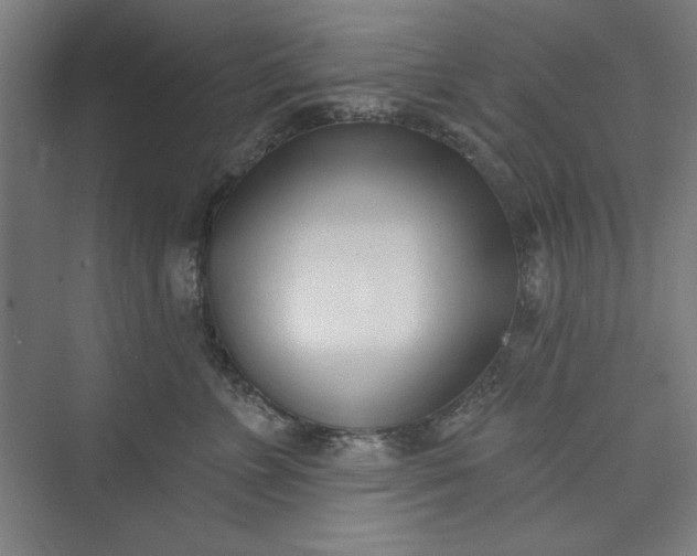 X0000073460715200608111510