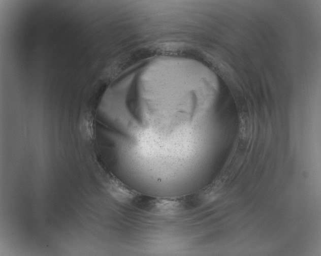 X0000073460718200608111510