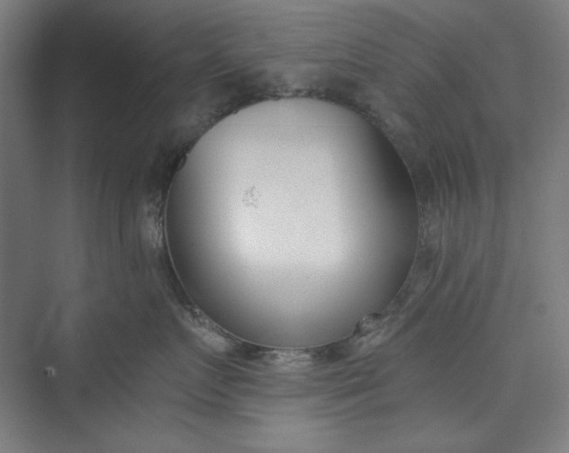 X0000073460719200608111510