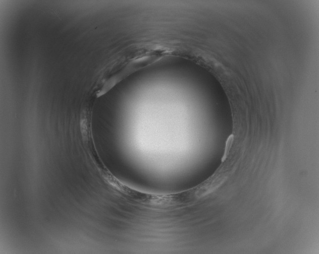 X0000073460720200608111510